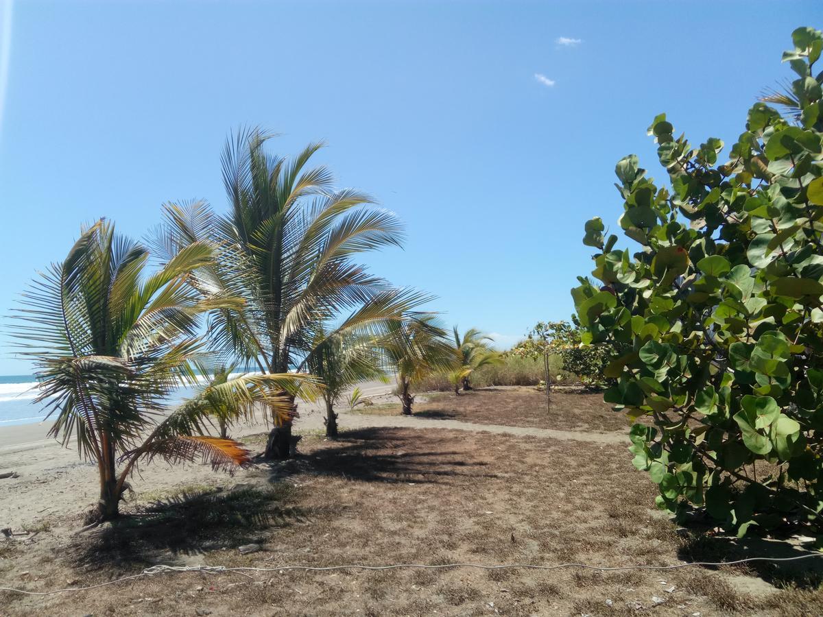 B&B Le Villette Las Lajas المظهر الخارجي الصورة